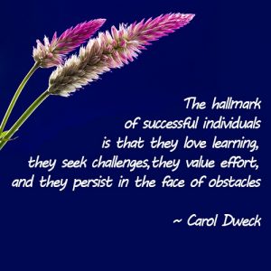 The hallmark of successful individualsx500